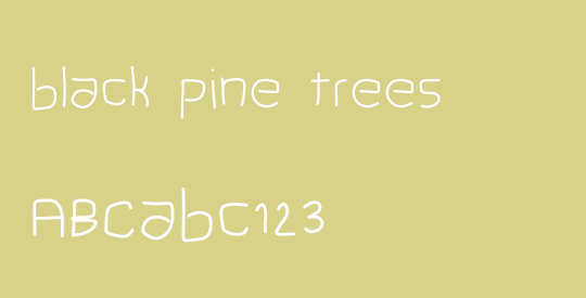 black pine trees