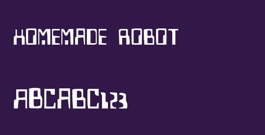 Homemade Robot