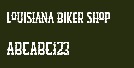 Louisiana Biker Shop