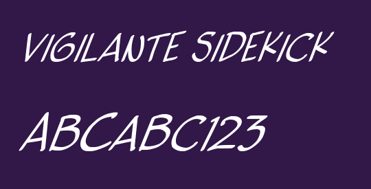 vigilante sidekick