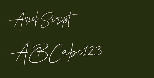 Ariel Script