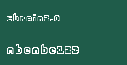 ebrain2.0
