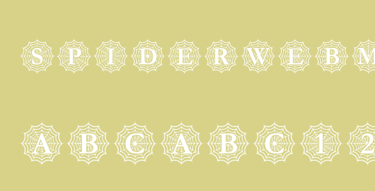 Spider_Web_Mono