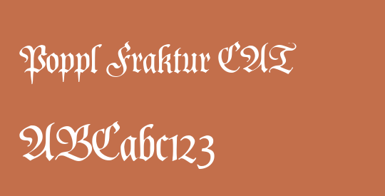 Poppl Fraktur CAT