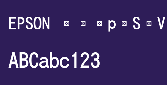 EPSON ëæäpÉSÉVÉbÉNëÃÇa