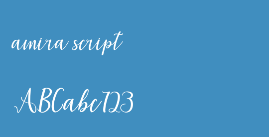 amira script