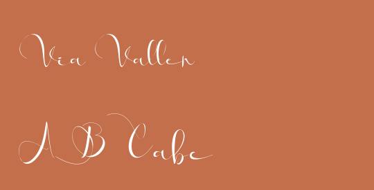 Via Vallen