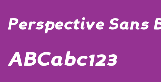 Perspective Sans Black
