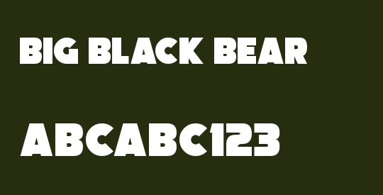 Big Black Bear