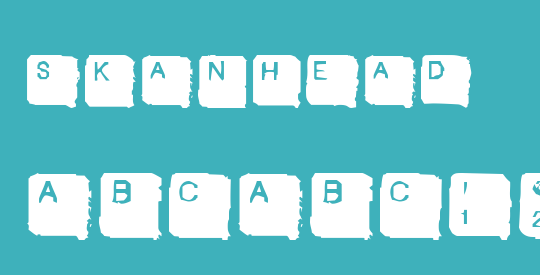 SkanHead