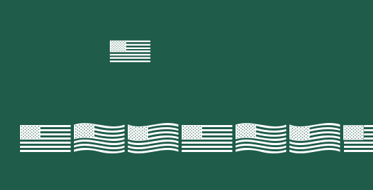 US Flag
