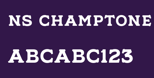 NS Champtone Serif