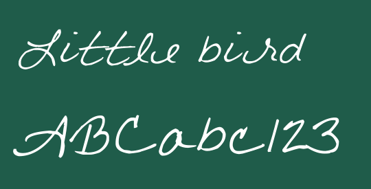 Little bird