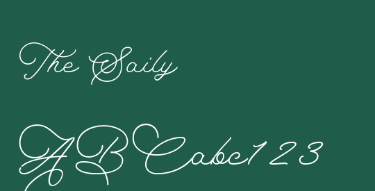 The Saily