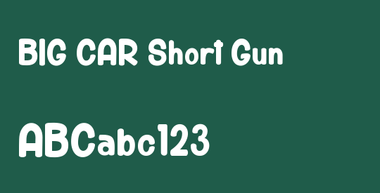 BIG CAR Short Gun