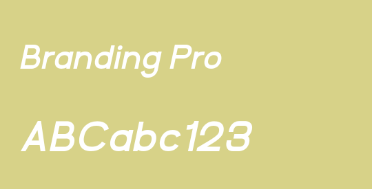 Branding Pro