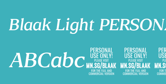 Blaak Light PERSONAL USE