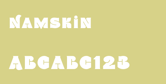 Namskin
