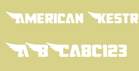 American Kestrel Straight