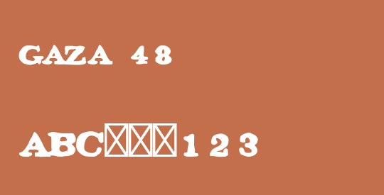 GAZA 48
