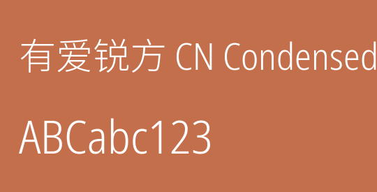 有爱锐方 CN Condensed Light