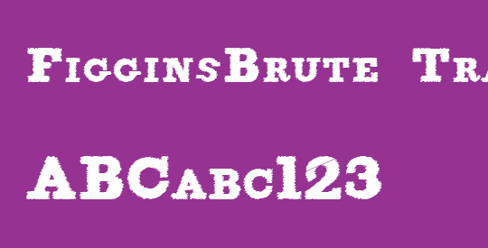FigginsBrute Trash