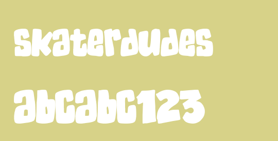 SkaterDudes
