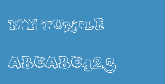 MY TURTLE