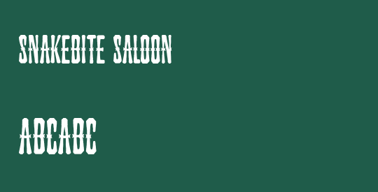 Snakebite Saloon