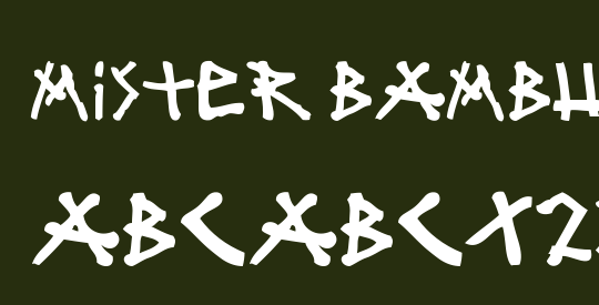 mister bambu