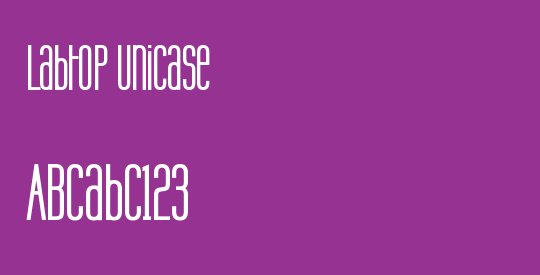 Labtop Unicase