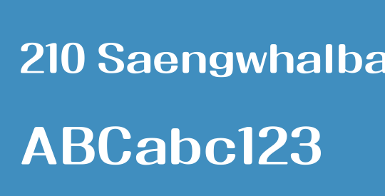 210 Saengwhalbanjang R