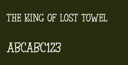 The King of Lost Towel