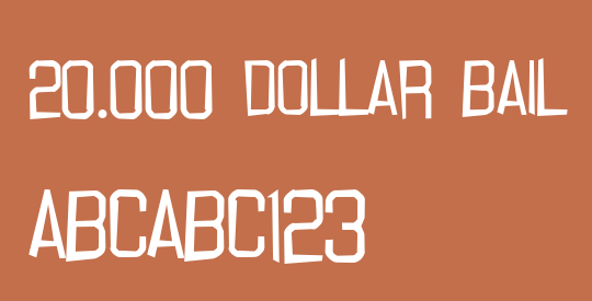 20.000 dollar bail