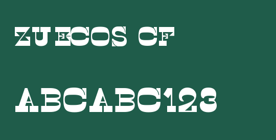 Zuecos CF