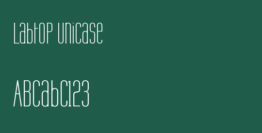 Labtop Unicase