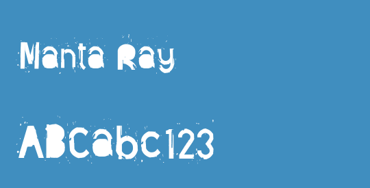 Manta Ray