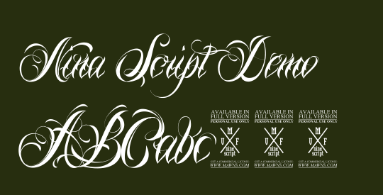 Nina Script Demo