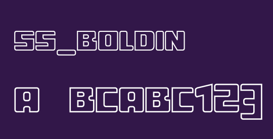 ss_boldin