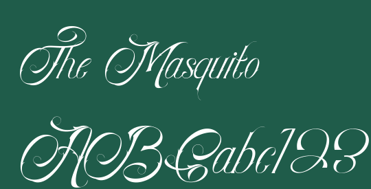 The Masquito