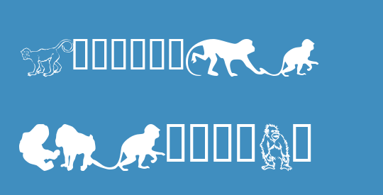 MonkeysDC