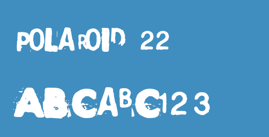Polaroid 22