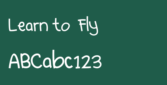 Learn to  Fly