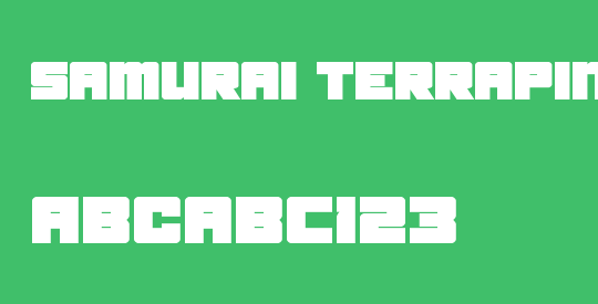 Samurai Terrapin
