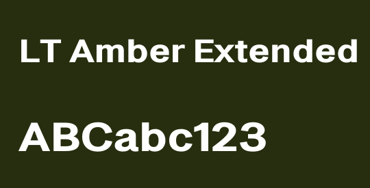 LT Amber Extended