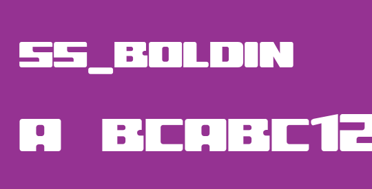 ss_boldin