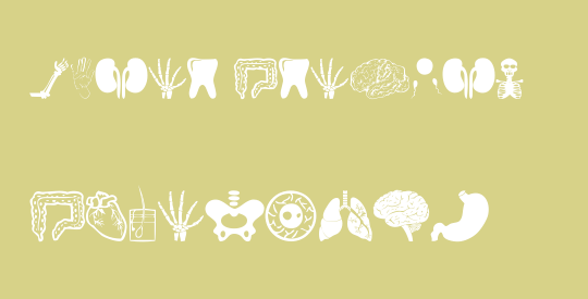 Human Anatomy