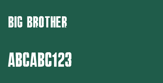Big Brother