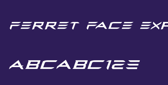 Ferret Face Expanded Italic