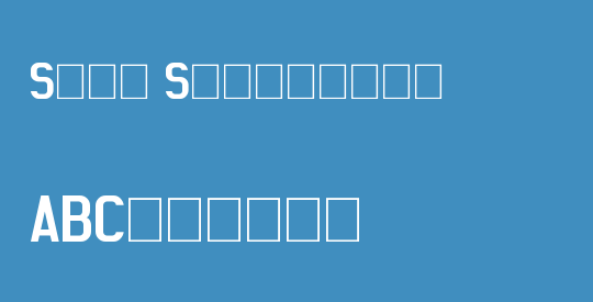 Sans Statement